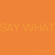 Say What - Say What Say What - Say What