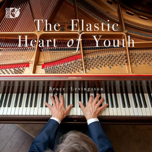 Bruce Levingston - The Elastic Heart Of Youth
