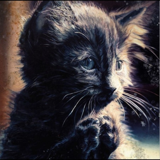 Perzeptiverdampfkesselqualmtbesinnl - Pussy Disco