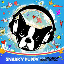 Snarky Puppy - Live At Groundup Music Festival (Rsd)