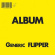Flipper - Generic Flipper Flipper - Generic Flipper