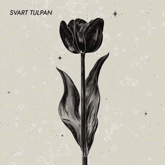 Svart Tulpan - Svart Tulpan - Remix