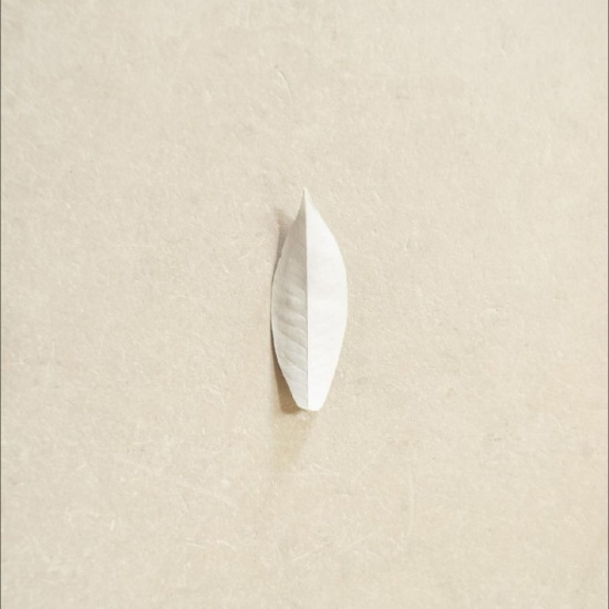 Sylvain Chauveau - The Complexity Of The Simple