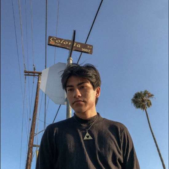 Los Retros - Early Days (2016-2019) (Hazel Vinyl