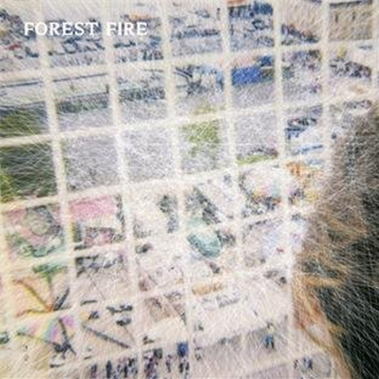 Forest Fire - Staring At The X
