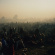 Turnover - Down On Earth Turnover - Down On Earth