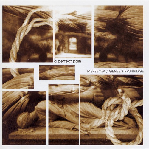 Merzbow / Genesis Breyer P-Orridge - A Perfect Pain