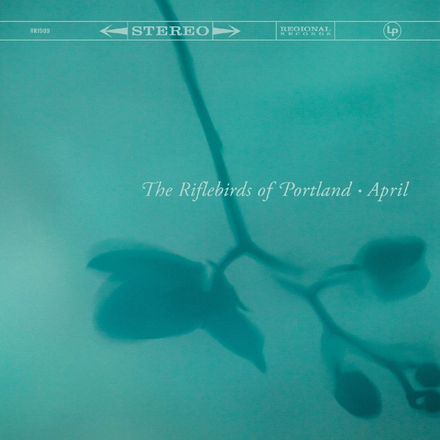 The Riflebirds Of Portland - April