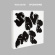 Kwon Jin Ah - Save ME Kwon Jin Ah - Save ME