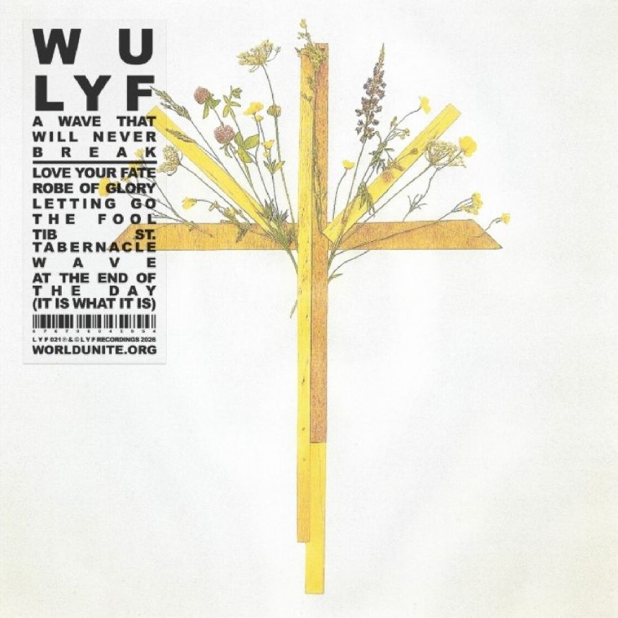 Wu Lyf - A Wave That Will Never Break