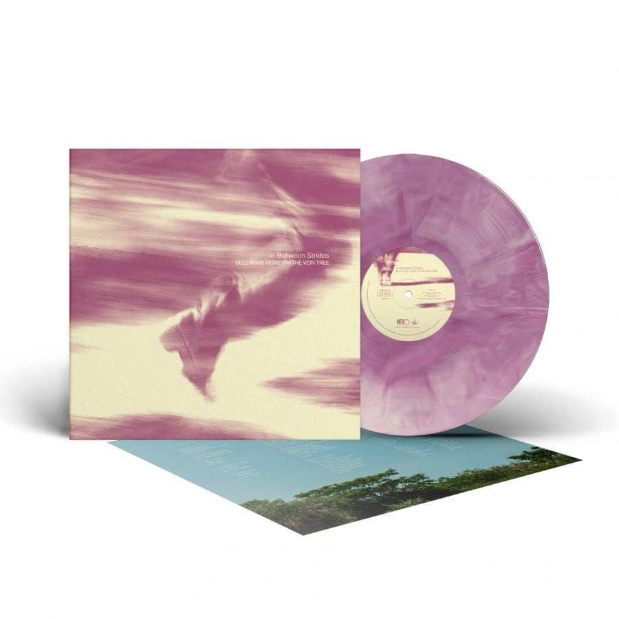 Bees Made Honey In The Vein Tree - In Between Strides (Galaxy Vinyl Lp