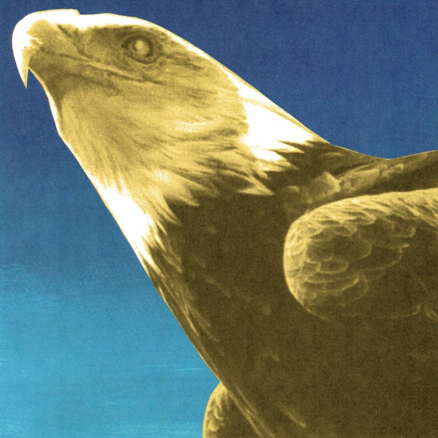 Protomartyr - Hotel Usona (Gold Vinyl)