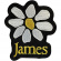 James - Yellow Logo White Daisy Woven Patch James - Yellow Logo White Daisy Woven Patch