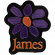 James - Orange Logo Purple Daisy Woven Patch James - Orange Logo Purple Daisy Woven Patch
