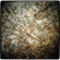 Horse Feathers - Thistled Spring Horse Feathers - Thistled Spring