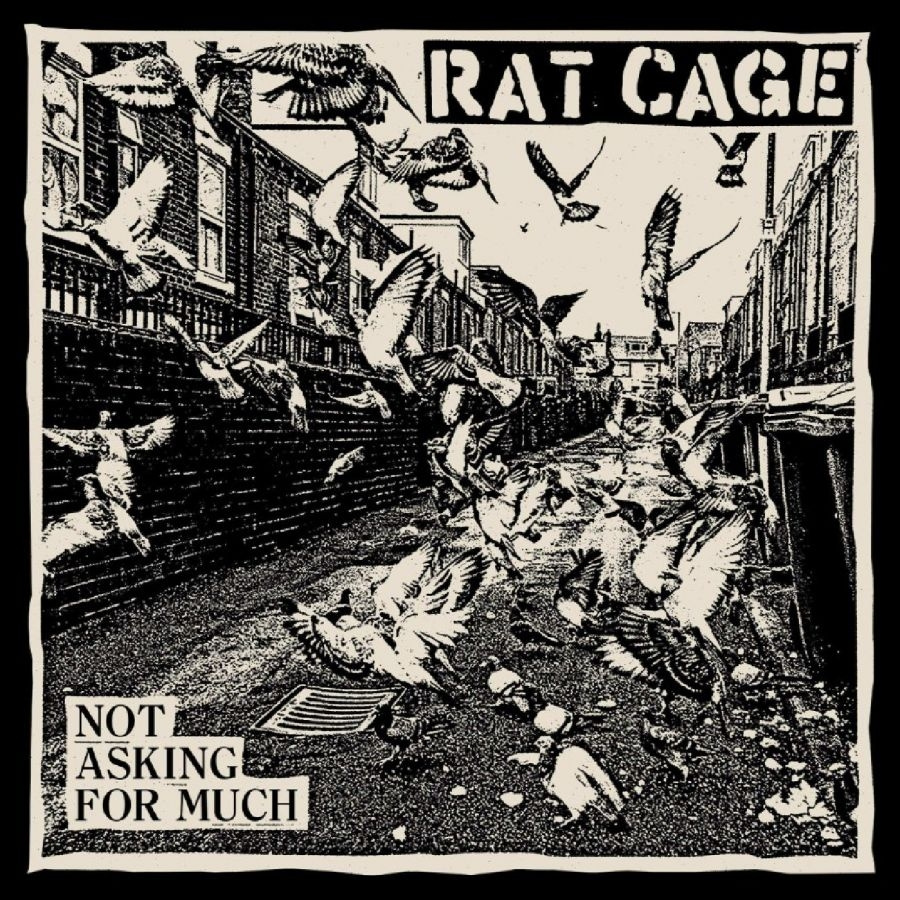 Rat Cage - Not Asking For Much
