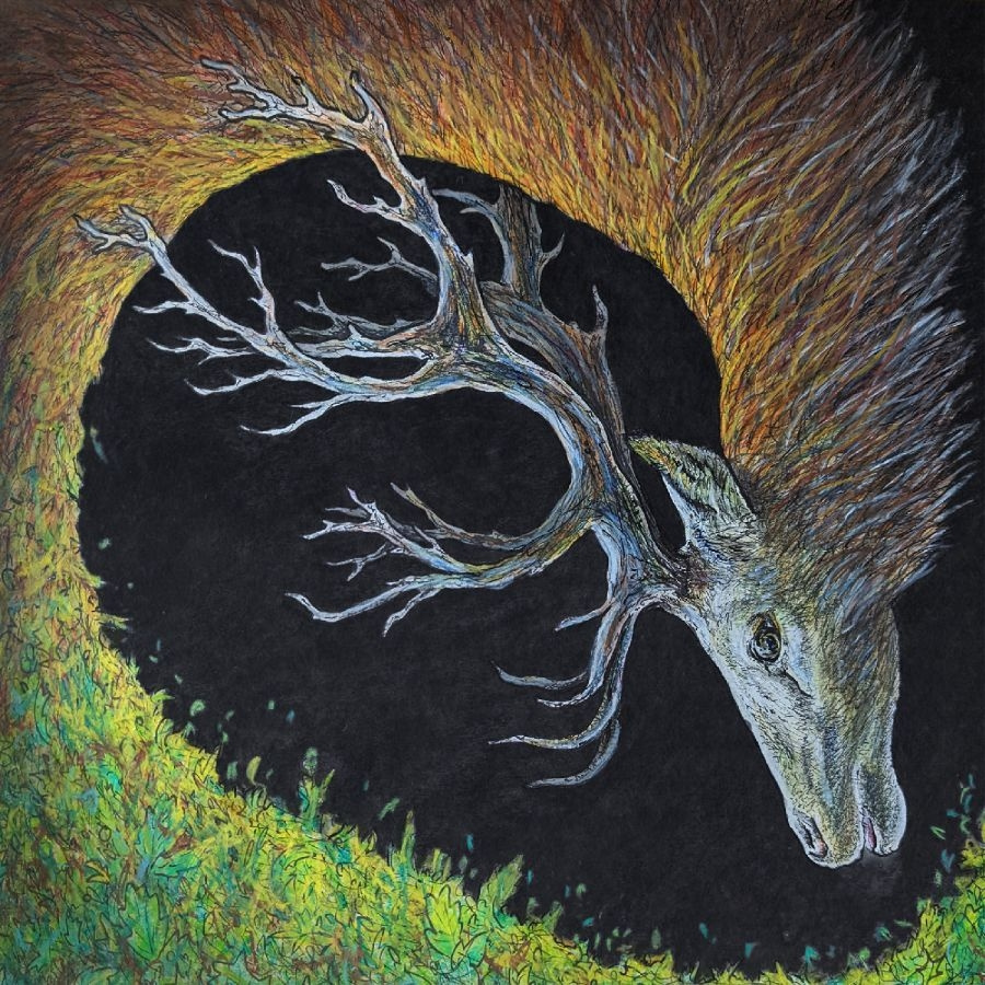 Petrels - Infangthief (Deluxe Edition, Clear