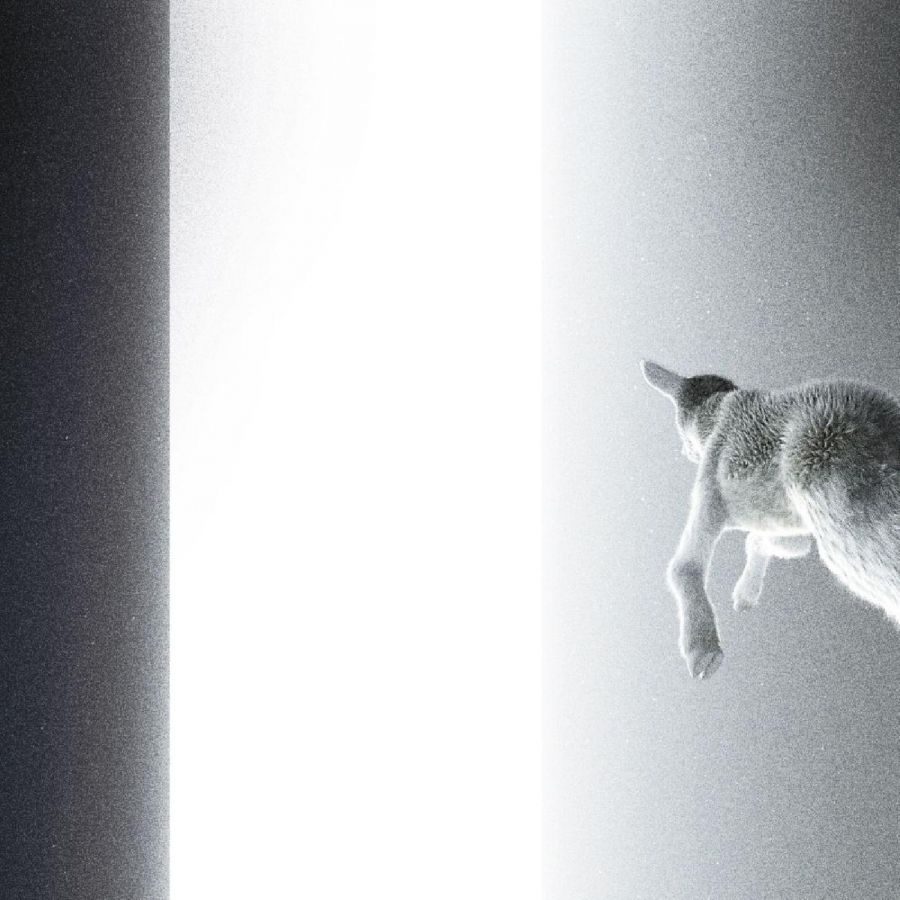 Panoram - Keep Looking Where The Light Comes