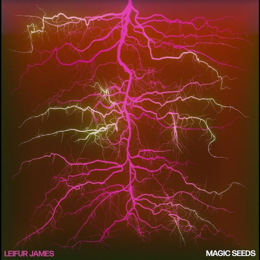 Leifur James - Magic Seeds