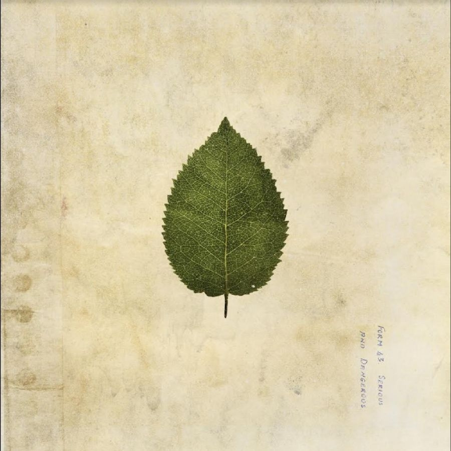 Boxer Rebellion The - The Cold Still
