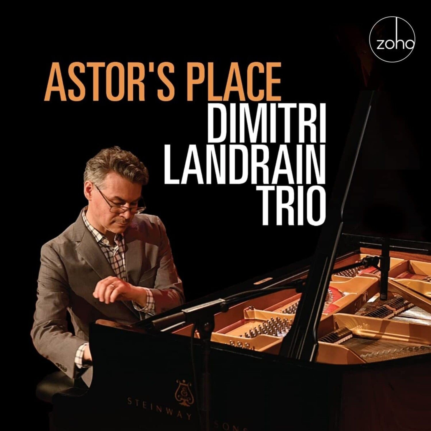Dimitri Landrain Trio - Astor's Place