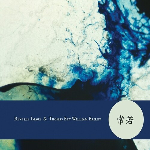 Reverse Image + Thomas Bey William - Tokokawa