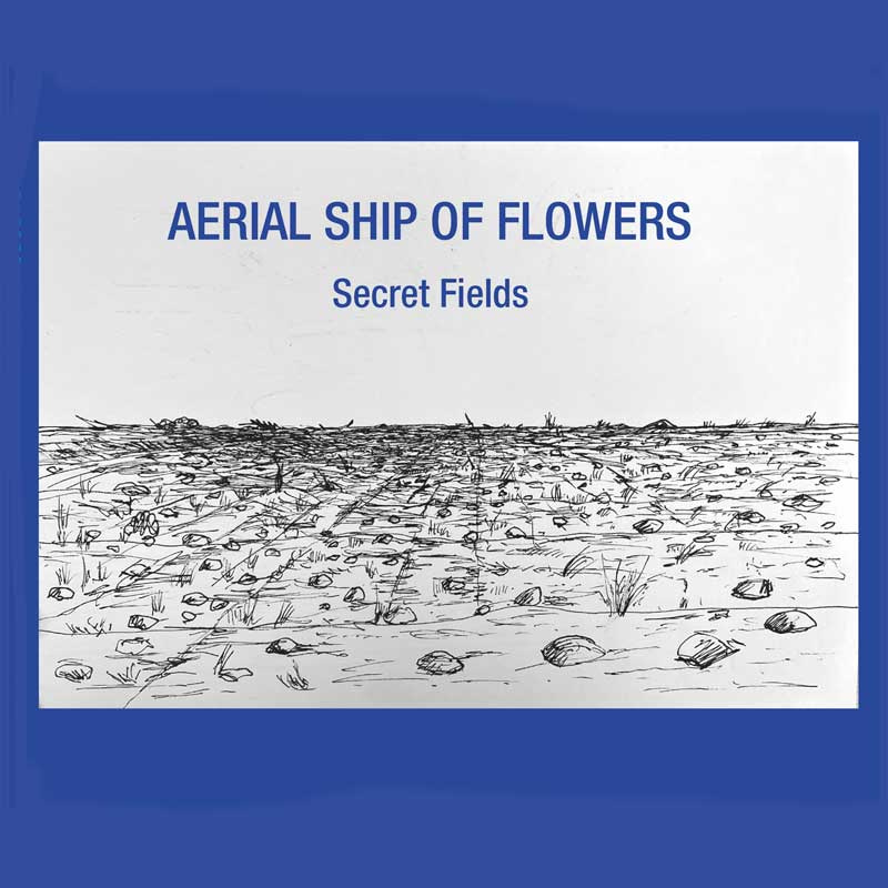 Aerial Ship Of Flowers - Secret Fields (Digipak CD)