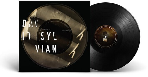 Sylvian David - Distance Between The Killer And The
