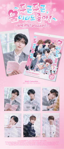 Nct Dream - 2027 Seasons Greetings (Wall Calendar)