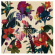 Washed Out - Paracosm Washed Out - Paracosm