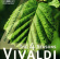 Antonio Vivaldi - The Four Seasons Antonio Vivaldi - The Four Seasons