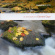 Elgar - An Introduction To Elgar - An Introduction To