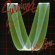 Survivor - Vital Signs Survivor - Vital Signs