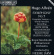 Alfven Hugo - Symphony 5 Alfven Hugo - Symphony 5