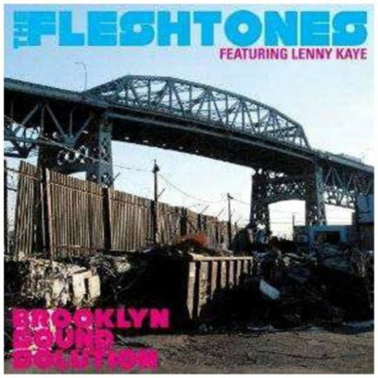 Fleshtones - Brooklyn Sound Solution
