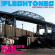 Fleshtones The - Brooklyn Sound Solution Fleshtones The - Brooklyn Sound Solution