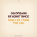 Six Organs Of Admittance - Shelter From The Ash Six Organs Of Admittance - Shelter From The Ash