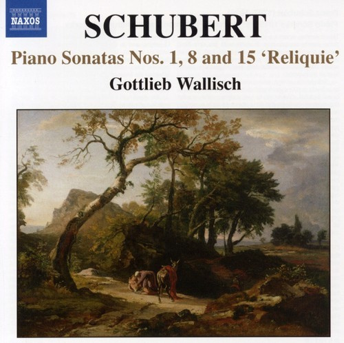 Schubert - Unfinished Sonatas
