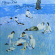 Elton John - Blue Moves Elton John - Blue Moves