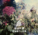 Magic Castles - Magic Castles Magic Castles - Magic Castles