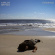 Carlos Giffoni - Evidence Carlos Giffoni - Evidence